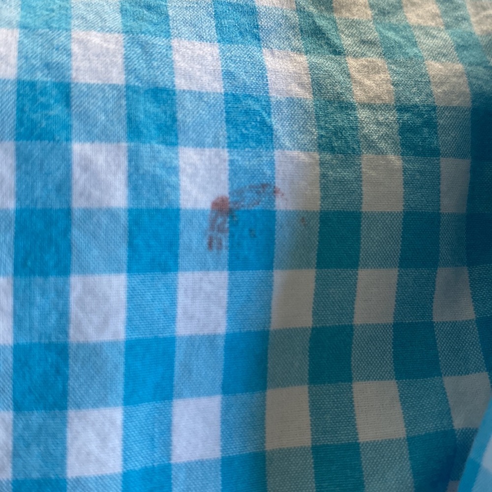 Boys Crewcuts Gingham Button Down Dress Shirts - Set of 2 - Picture 4 of 7